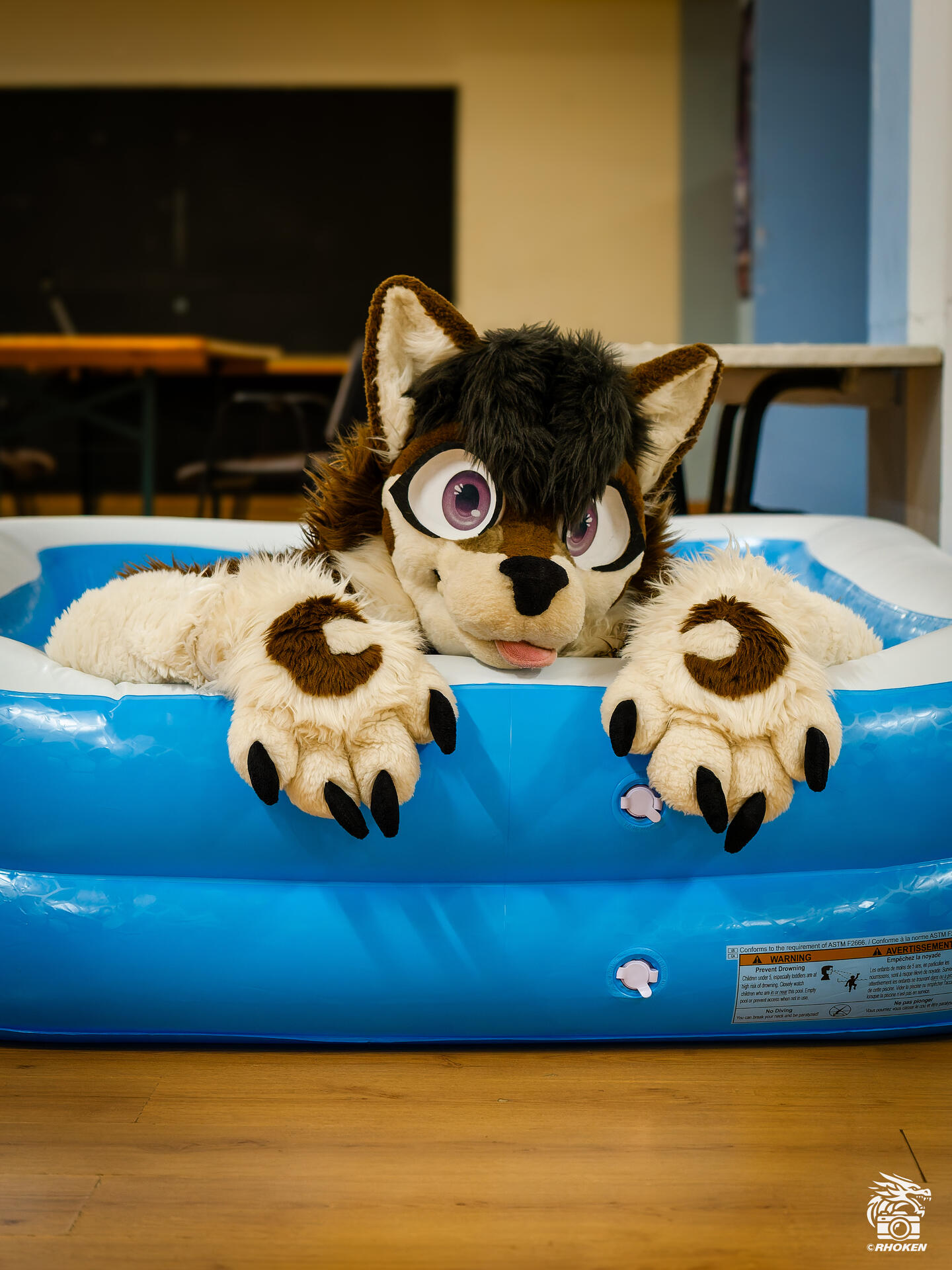 Suiter: Shasta The Husky, WildOut Back2Fun '26, Italia, 2026